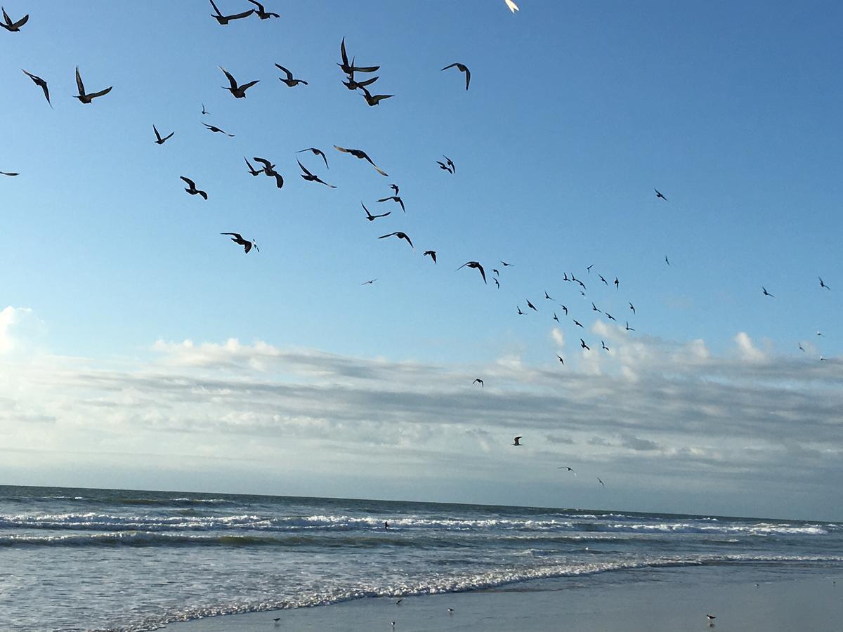 Spanish Main Cocoa Beach Bagian luar foto